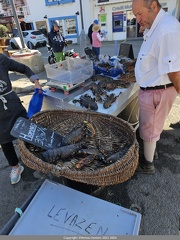 20240606-Decouverte-Belle-Ile-en-mer 04